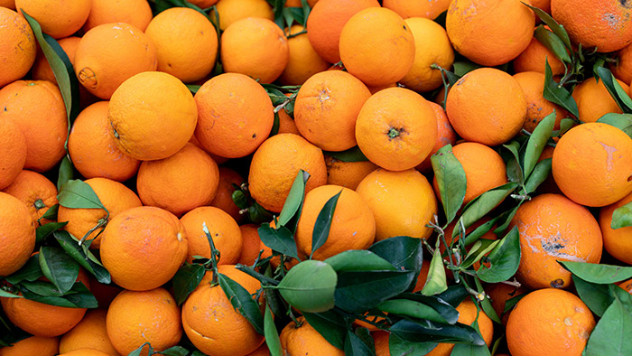 انواع پرتقال